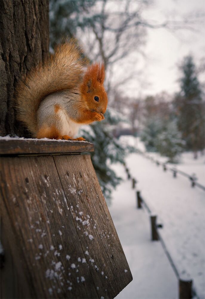 In the park (3)