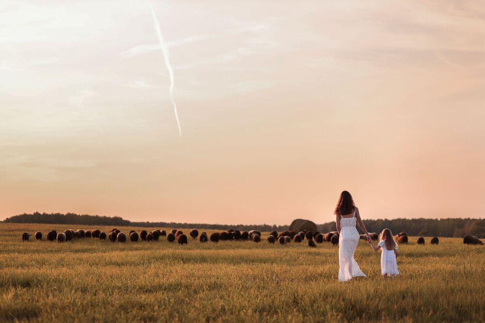 Photo #5866497 (11)