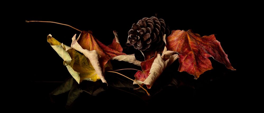 Autumn Still Life (2)