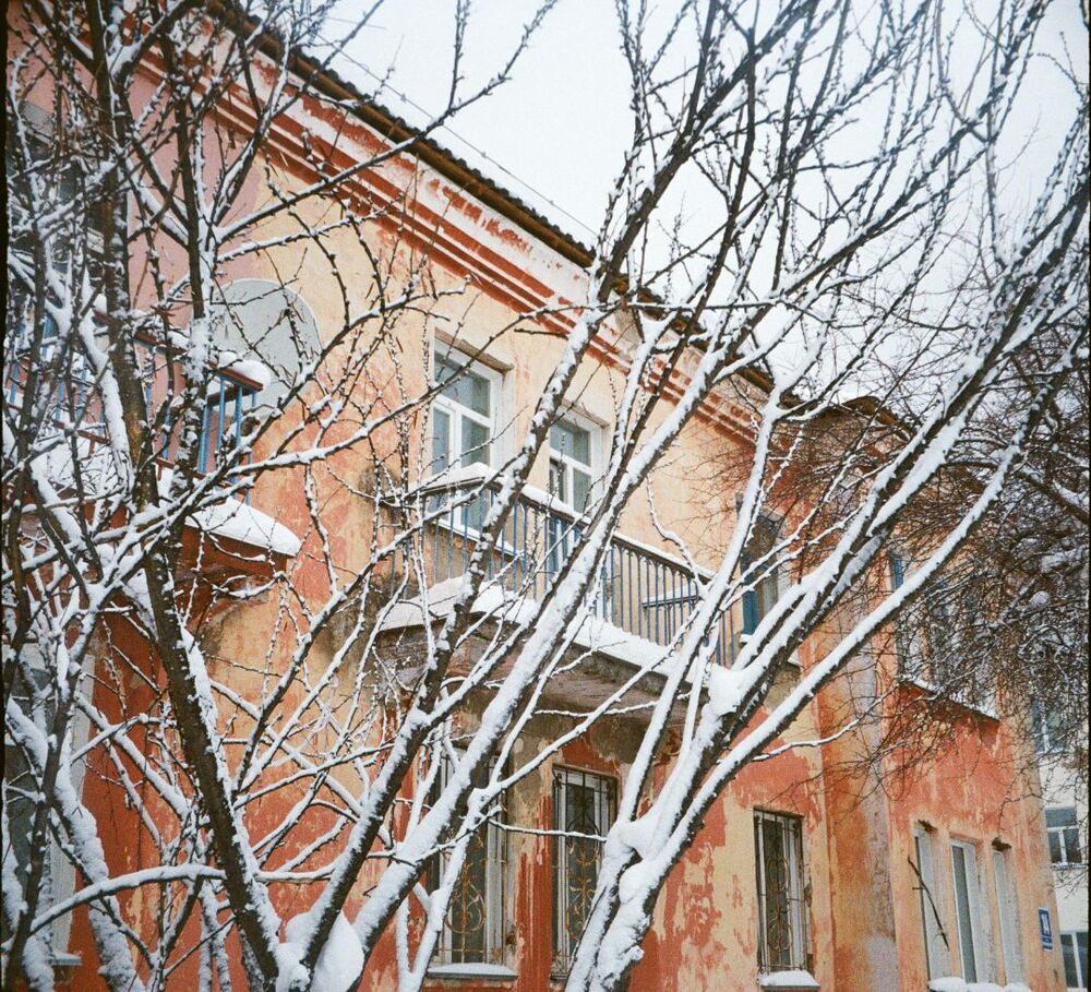 Wonderland (2)