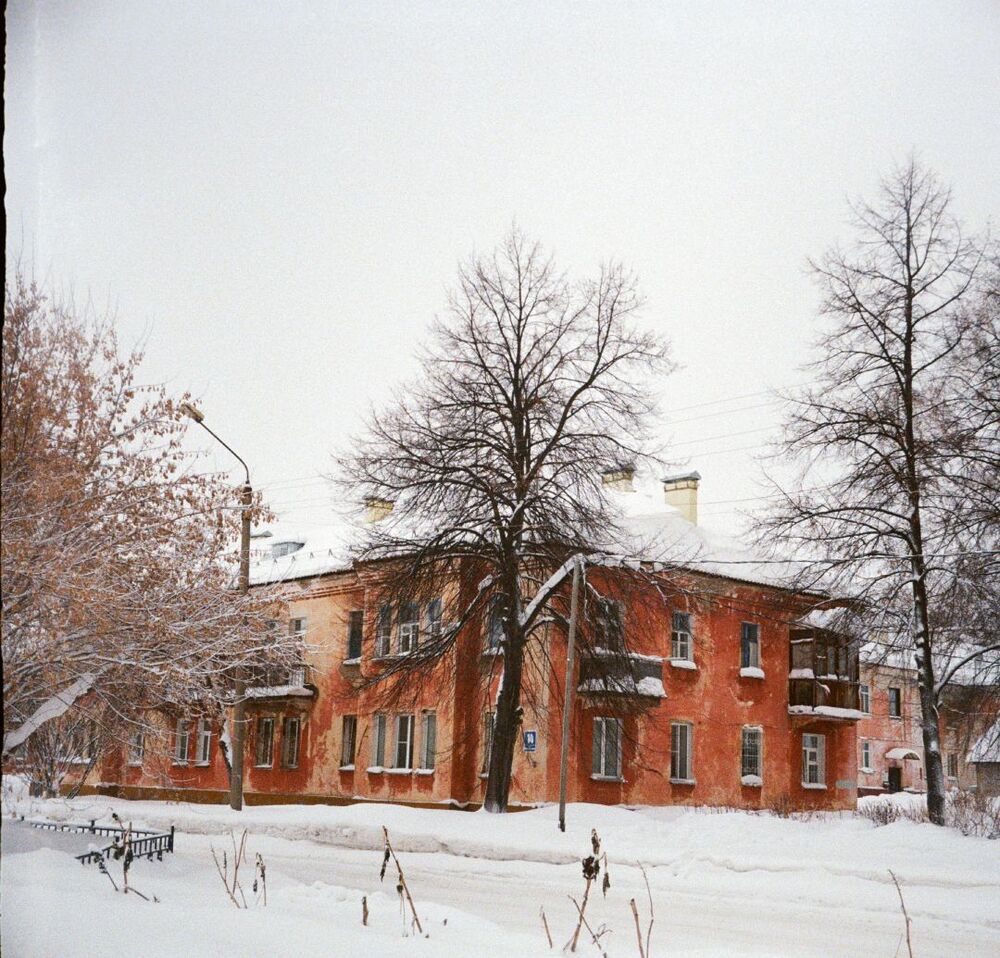 Wonderland (3)