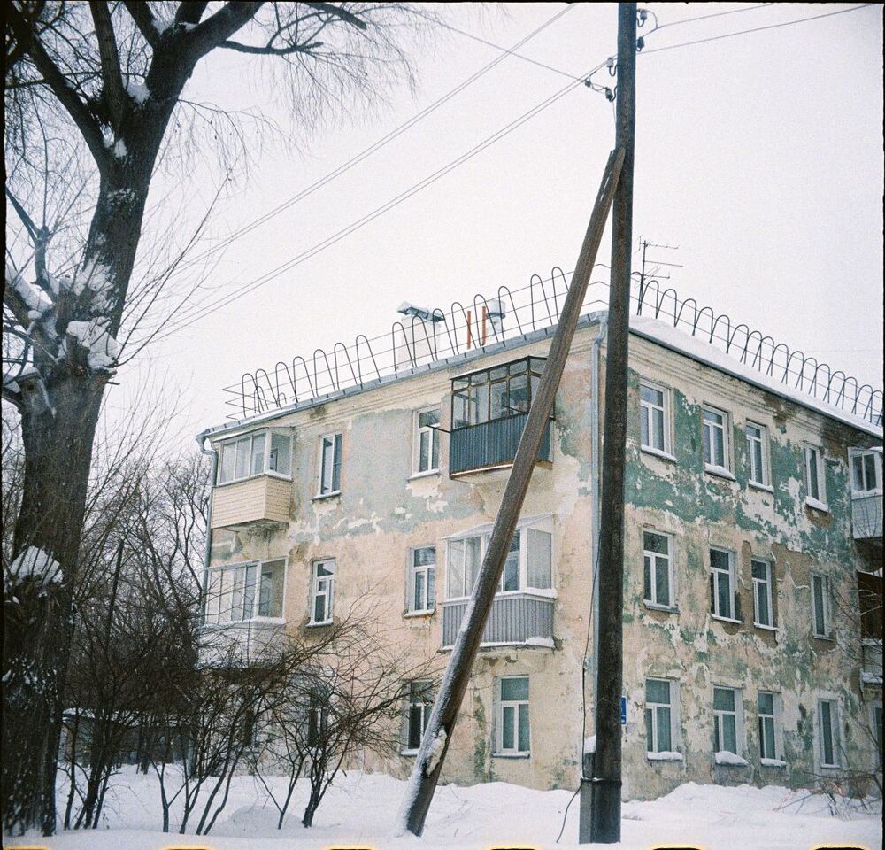 Wonderland (5)