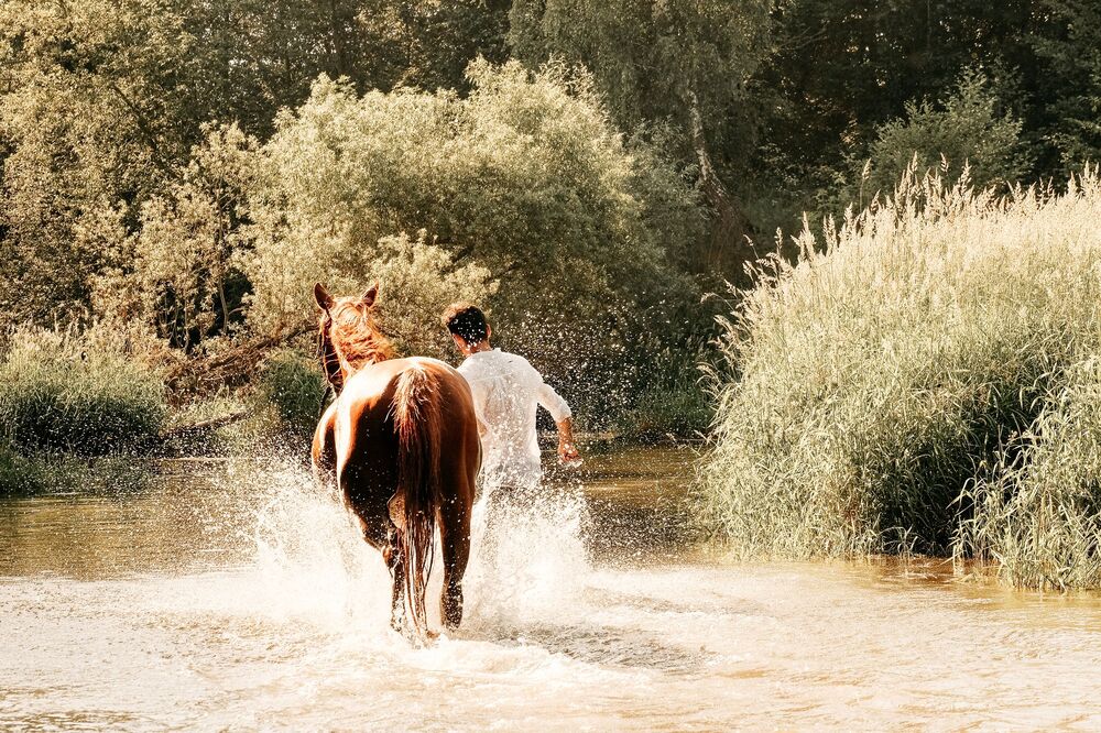 Photo #6240827 (3)