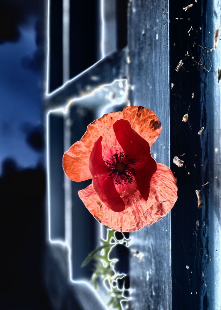 Unusual in the ordinary (2)