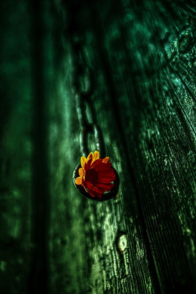 Unusual in the ordinary (3)