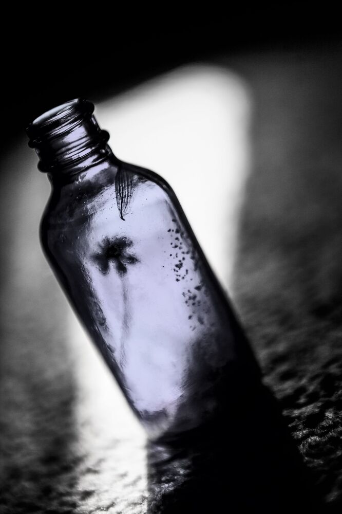 Unusual in the ordinary (4)