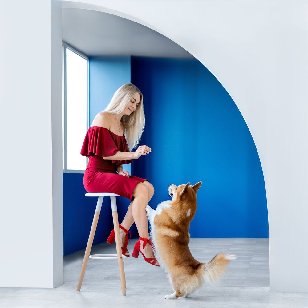 Beautiful girl with corgi (6)