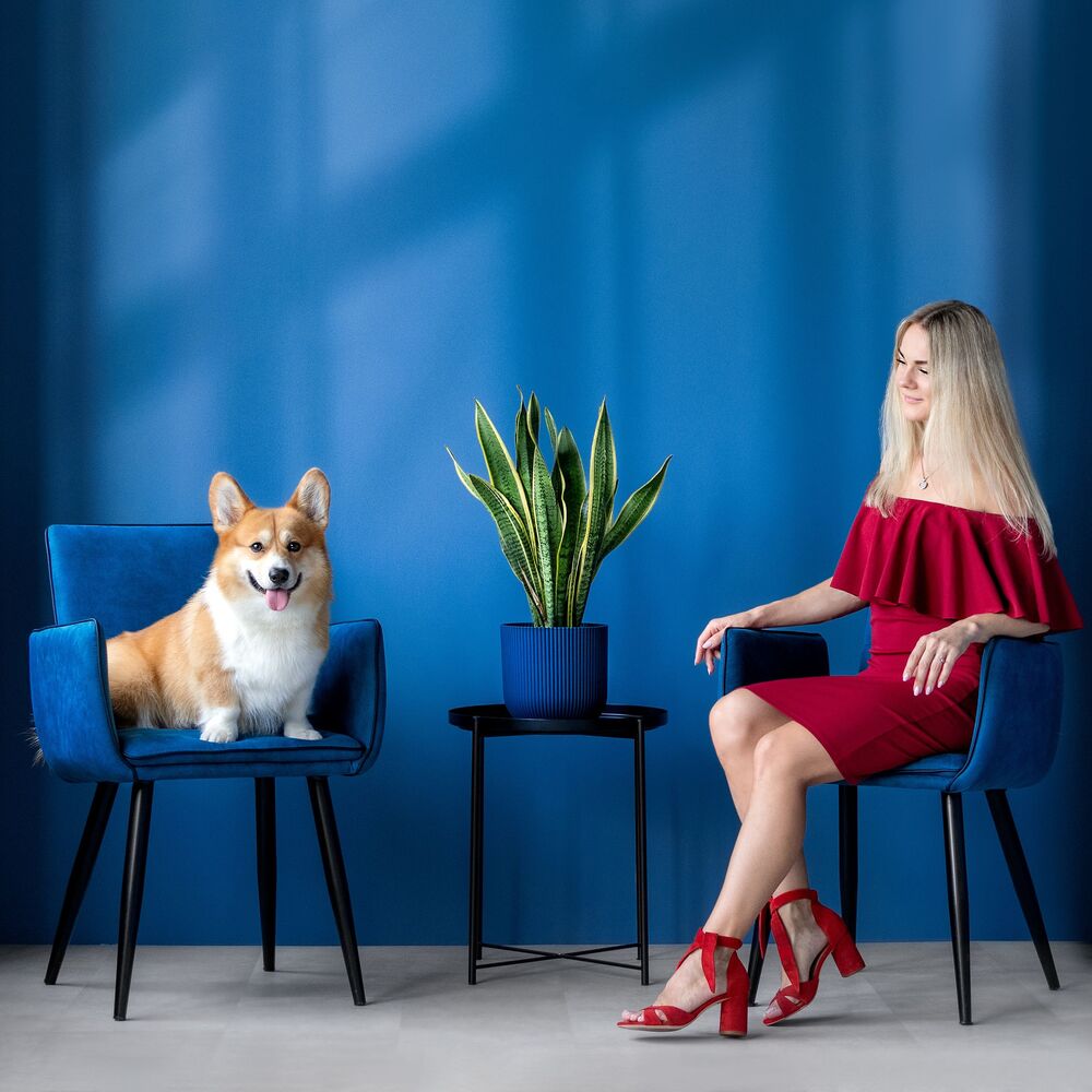 Beautiful girl with corgi (3)