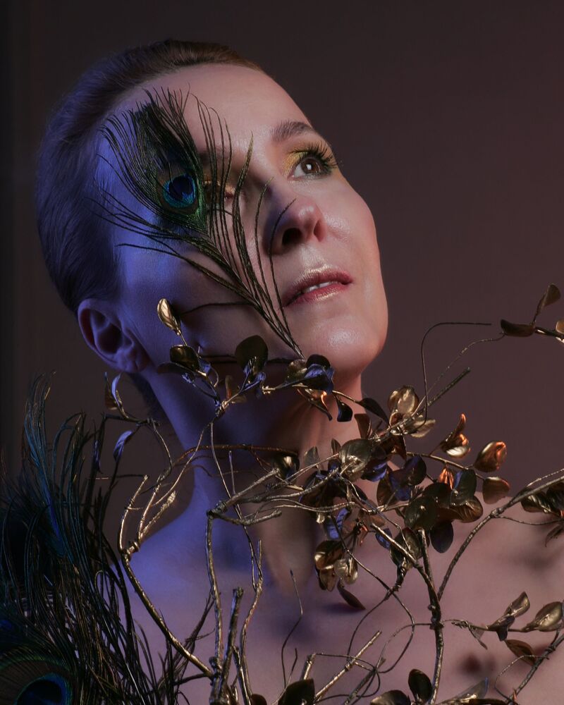 ALLEGORY OF VANITY (5)