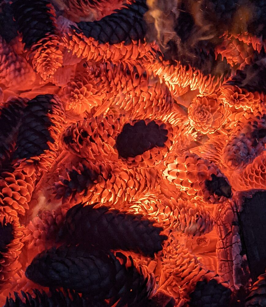 Photo #6604016 (2)