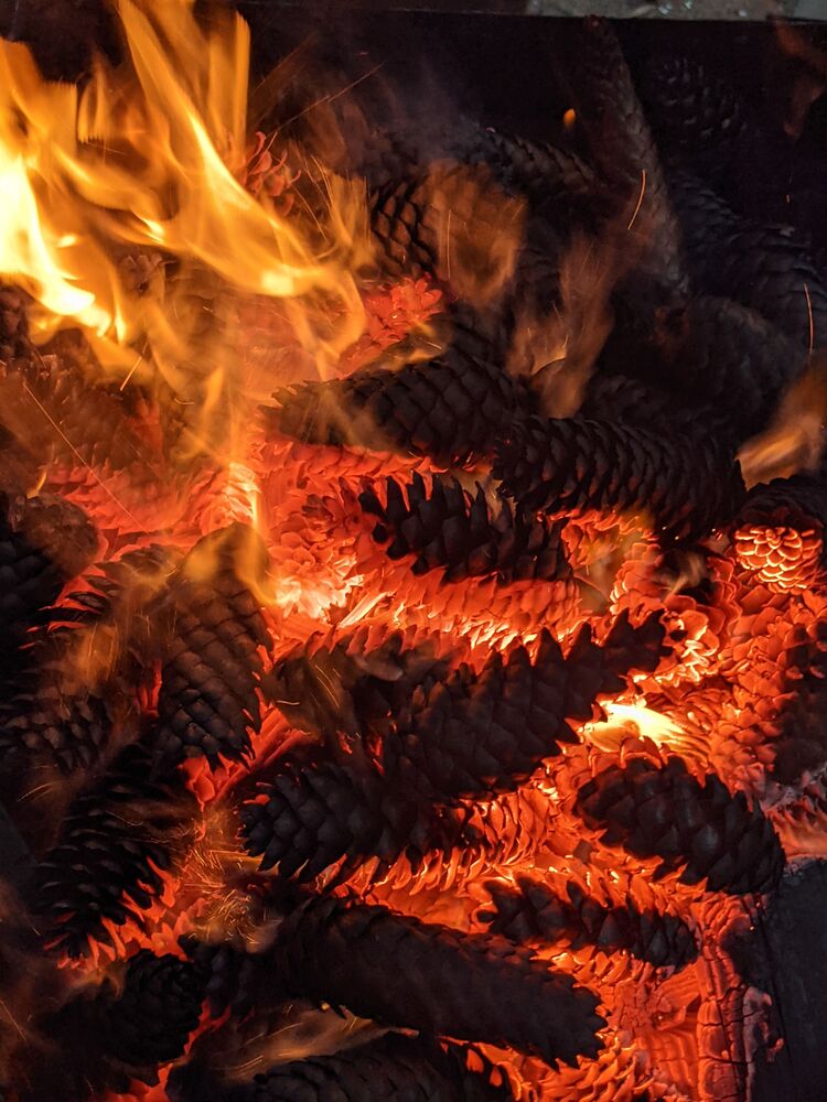 Photo #6604016 (6)