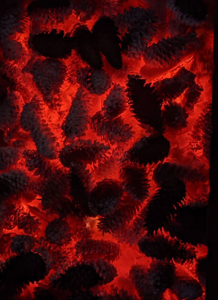 Photo #6604016 (8)