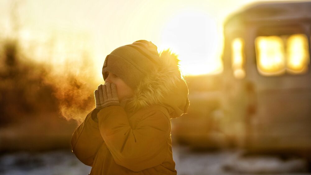 Photo #6697089 (3)