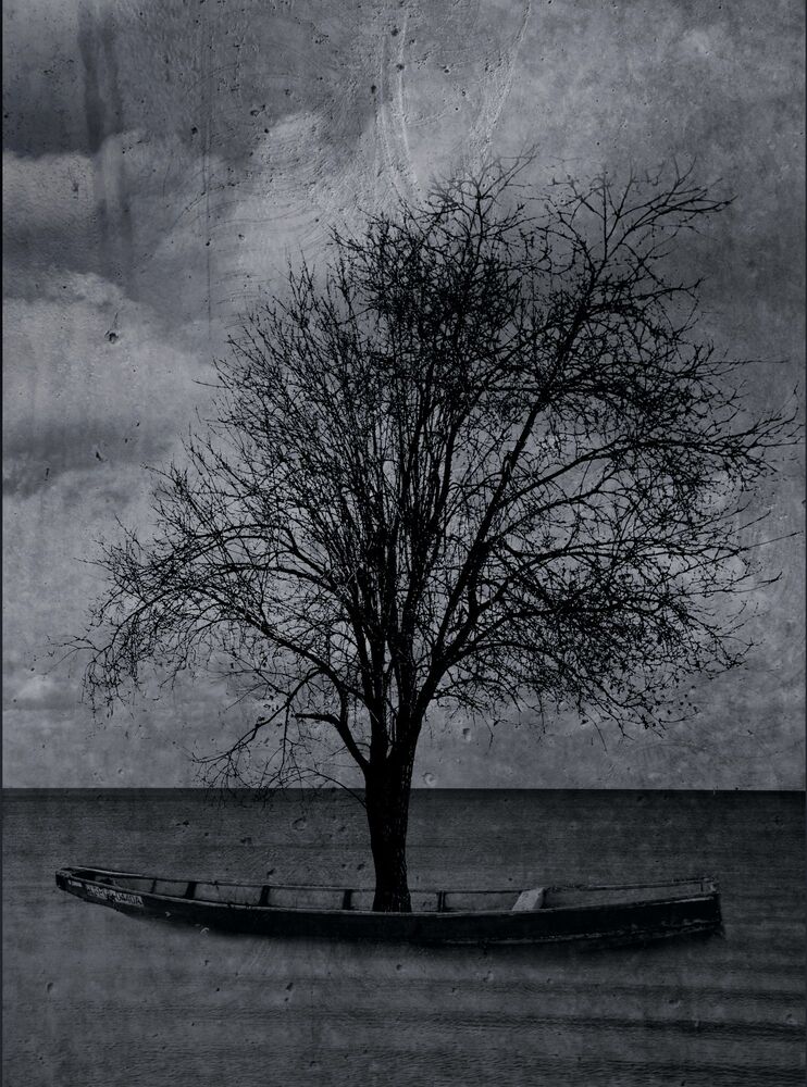 REM Landscape (3)