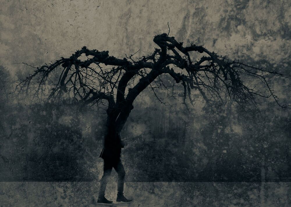 REM Landscape (8)
