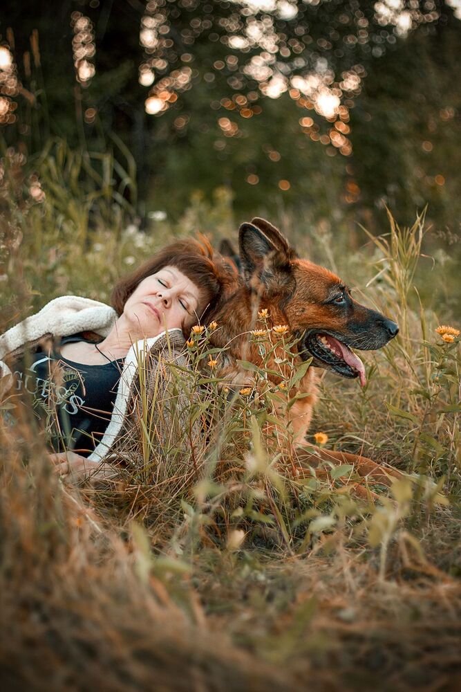 Photo #6837179 (4)