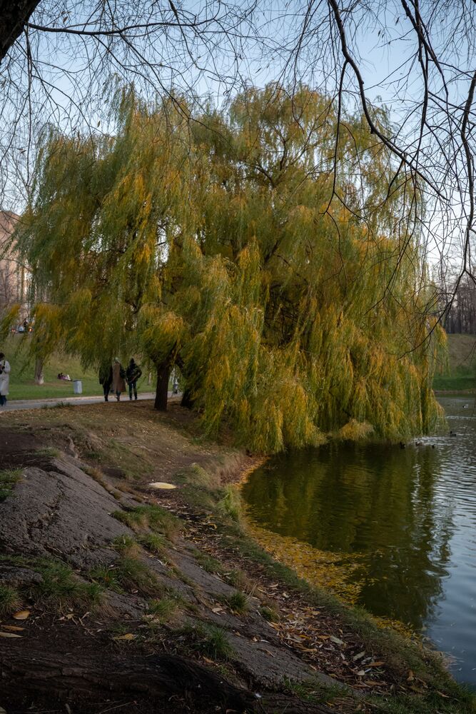 Прогулка у Новодевичьего (5)