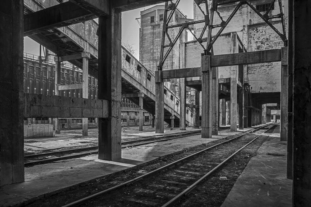 Abandoned old plant (2)