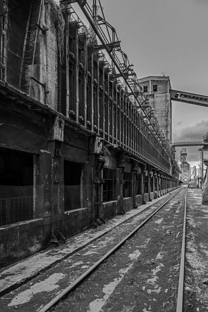 Abandoned old plant (3)