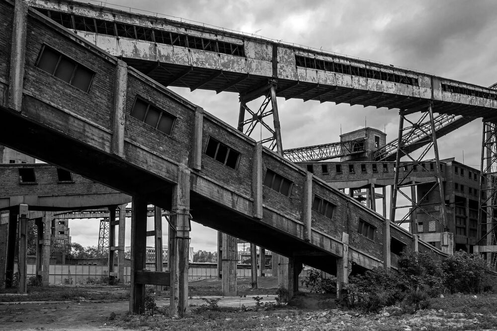 Abandoned old plant (5)