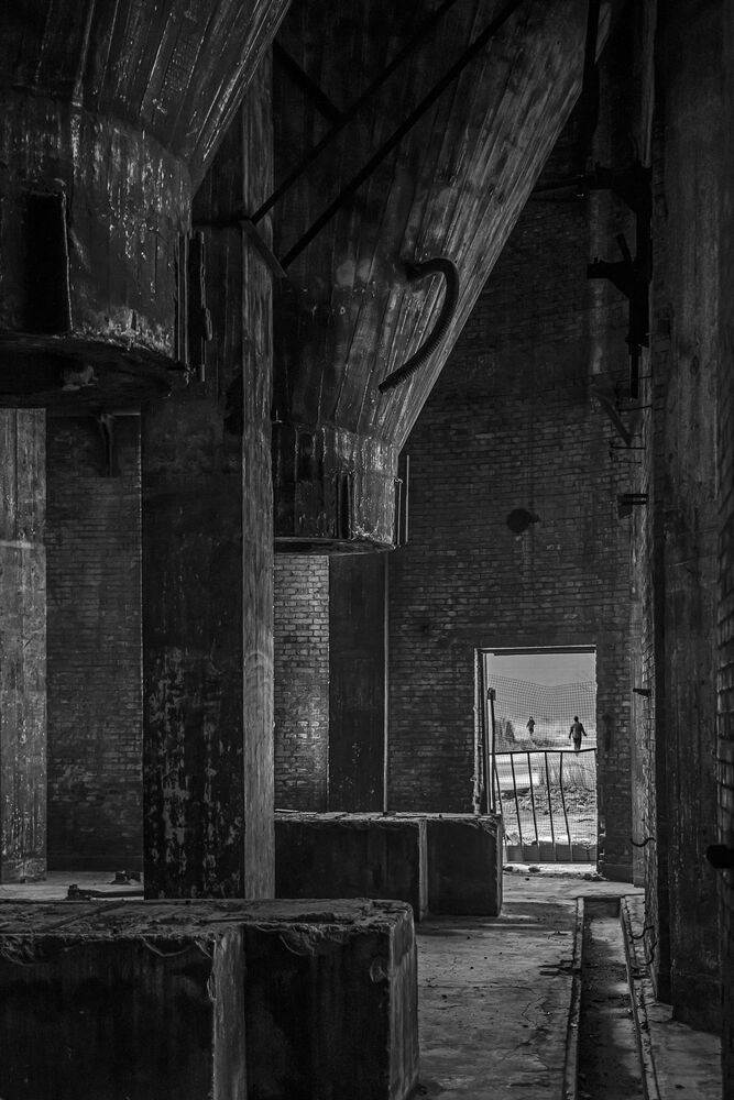 Abandoned old plant (6)