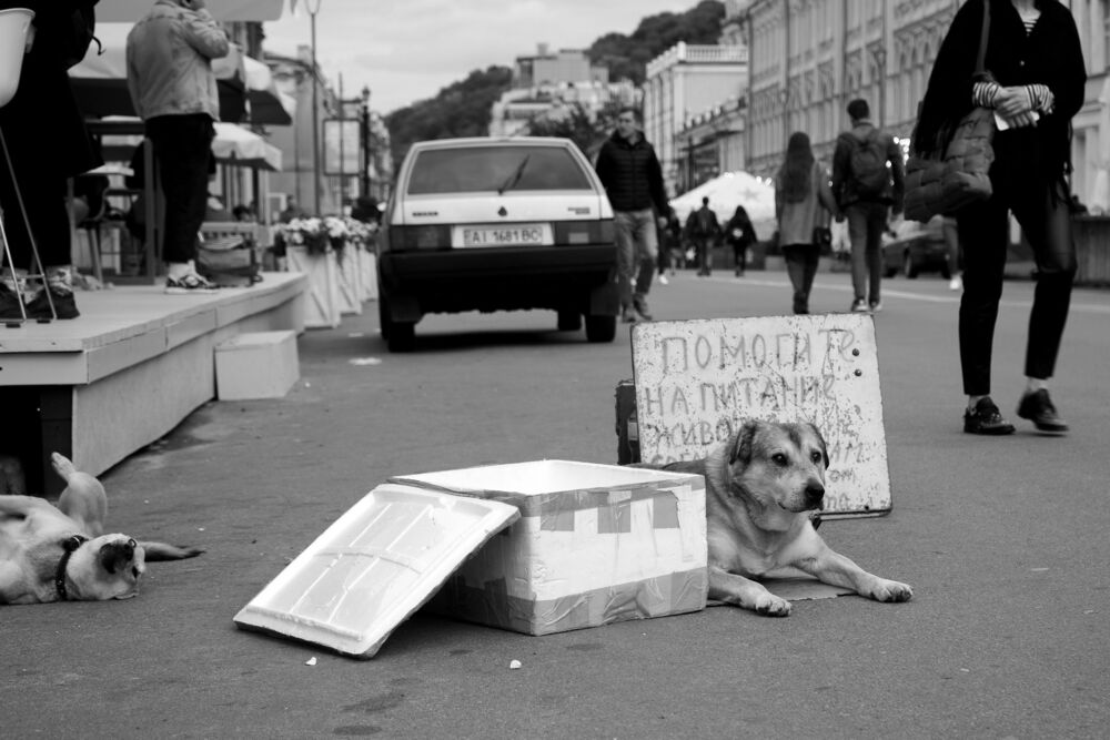 Грани жизни (3)