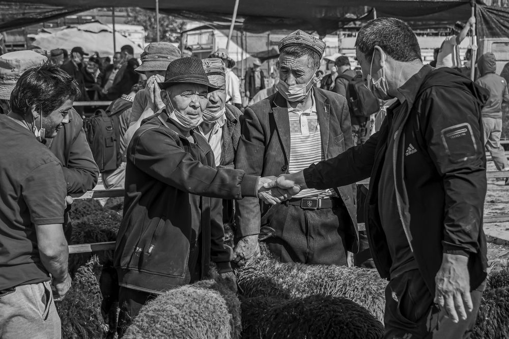 Cattle and sheep bazaar (6)