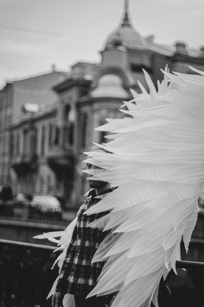 Photo #6951044 (7)