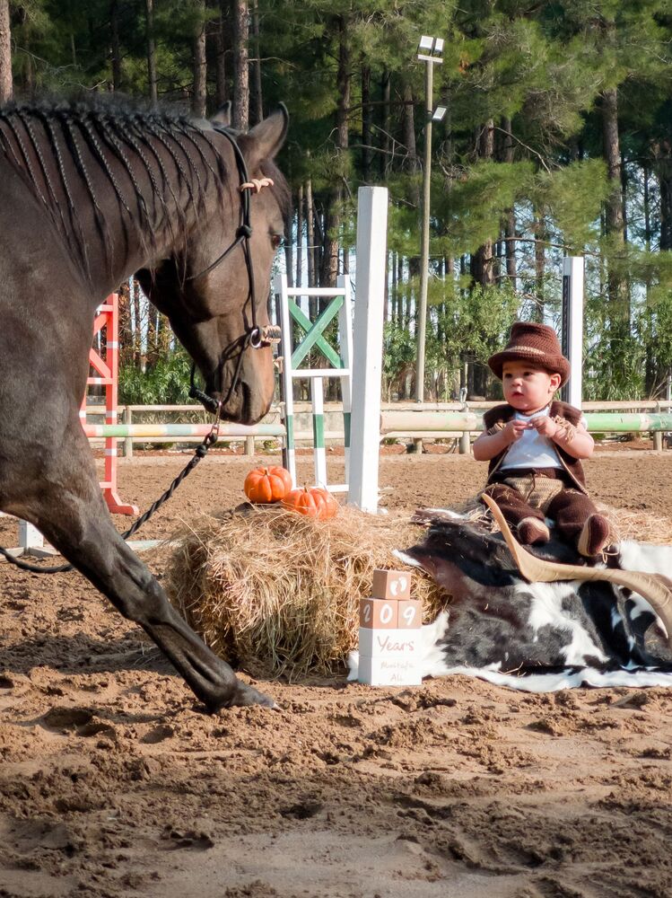Photo #6980998 (3)