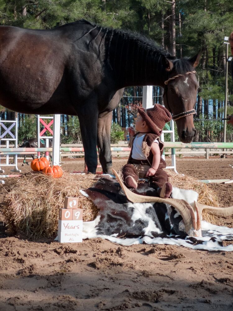 Photo #6980998 (4)