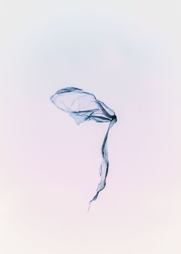 Cellophane fantasy (2)