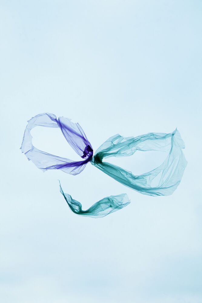 Cellophane fantasy (5)
