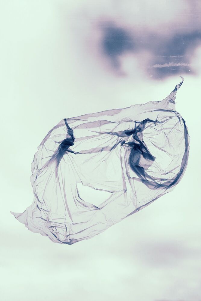 Cellophane fantasy (7)