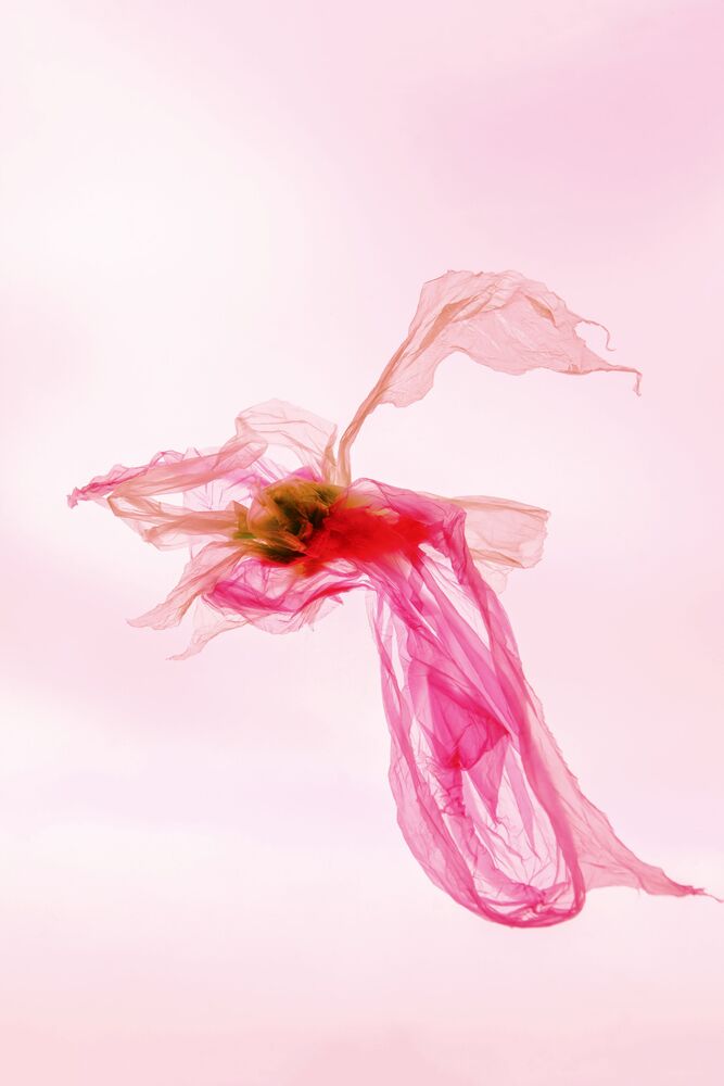 Cellophane fantasy (10)