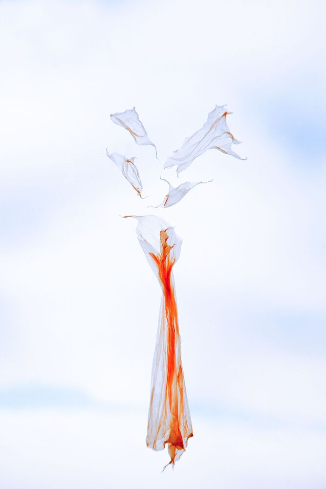 Cellophane fantasy (11)