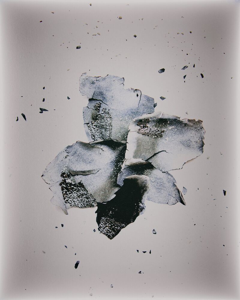 Flowers from the ashes (3)