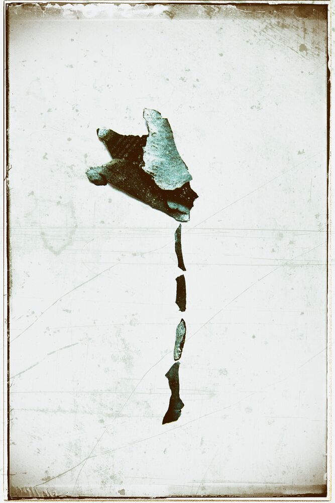 Flowers from the ashes (4)