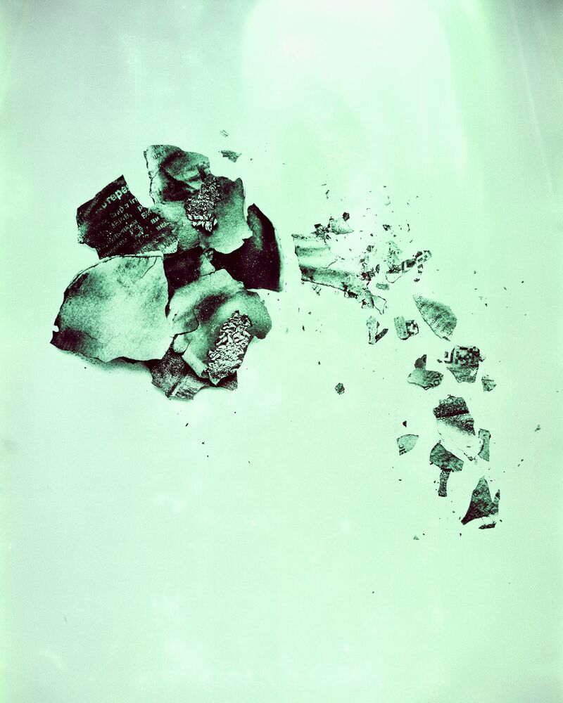 Flowers from the ashes (6)