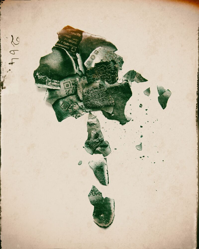 Flowers from the ashes (7)