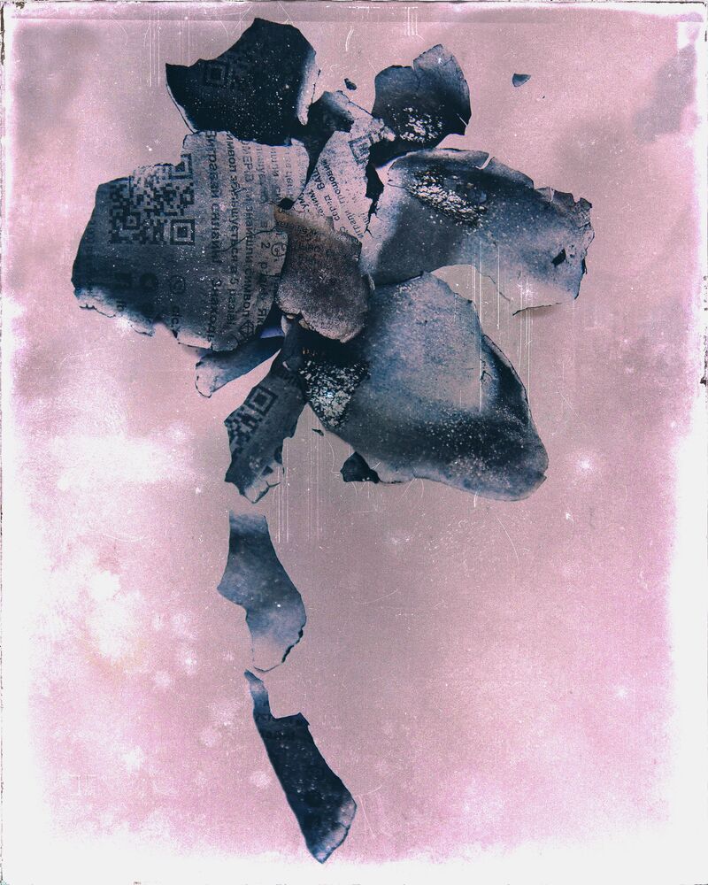 Flowers from the ashes (8)
