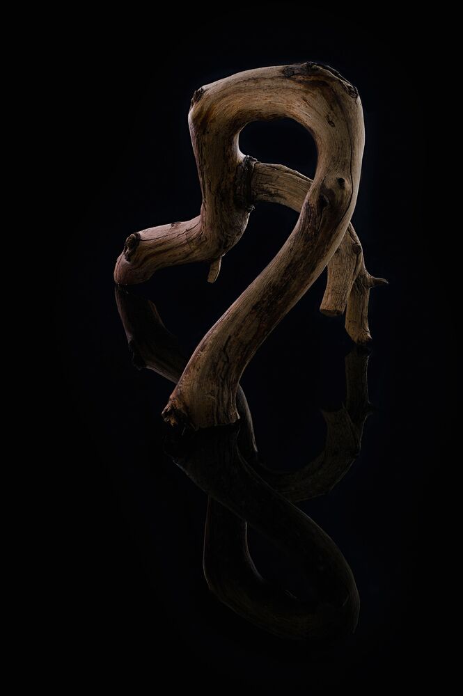 Коряги (2)