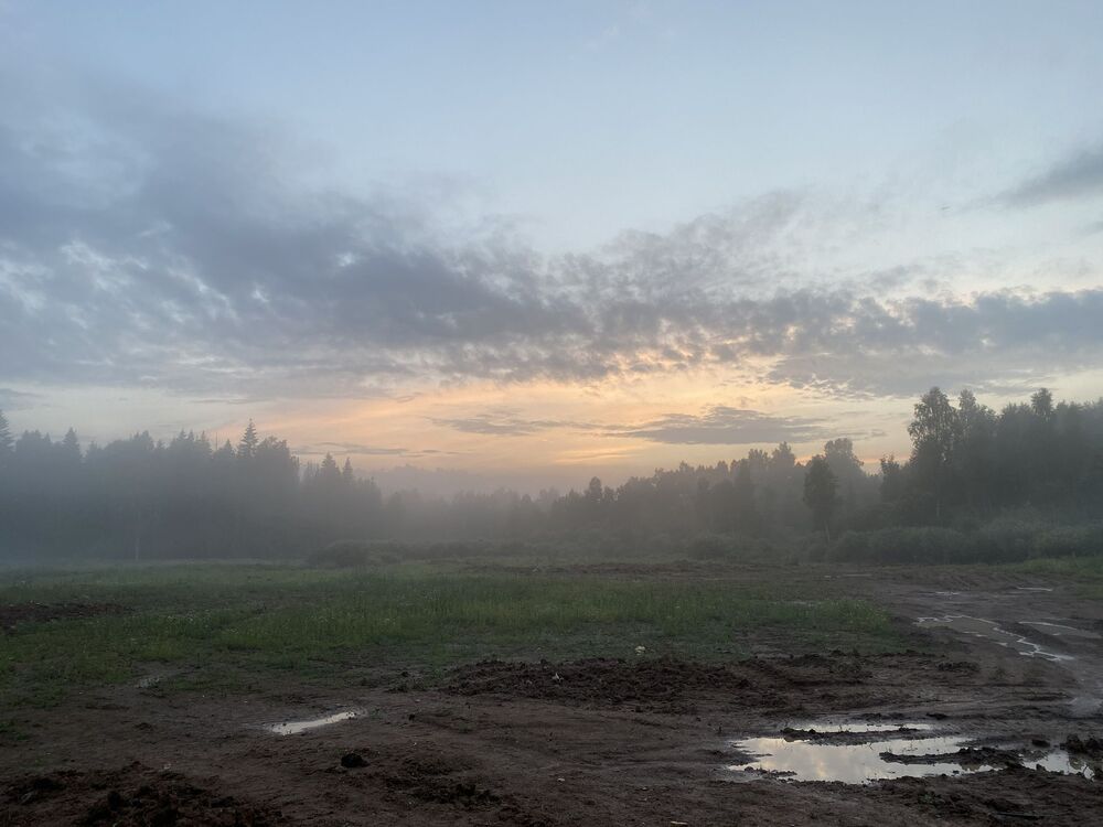 Foggy (6)