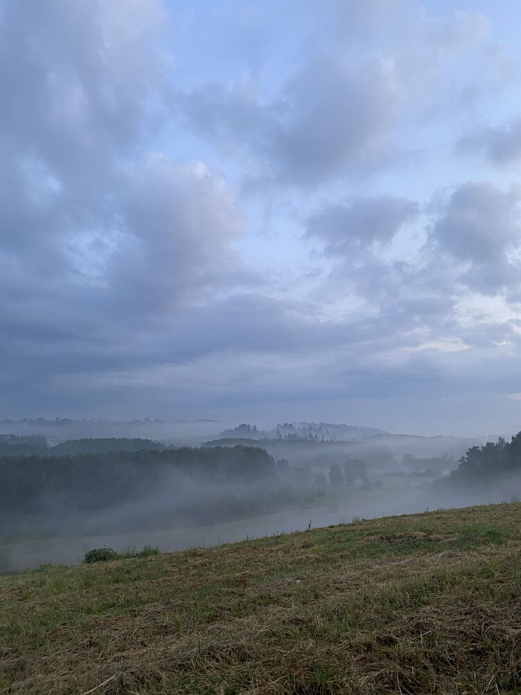 Foggy (7)