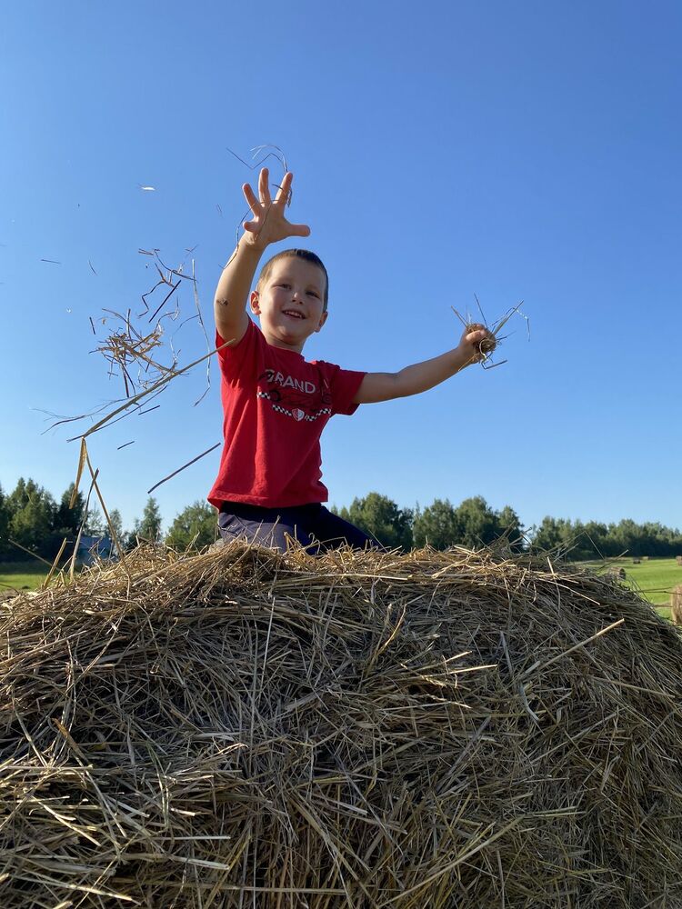 Farm routine (3)