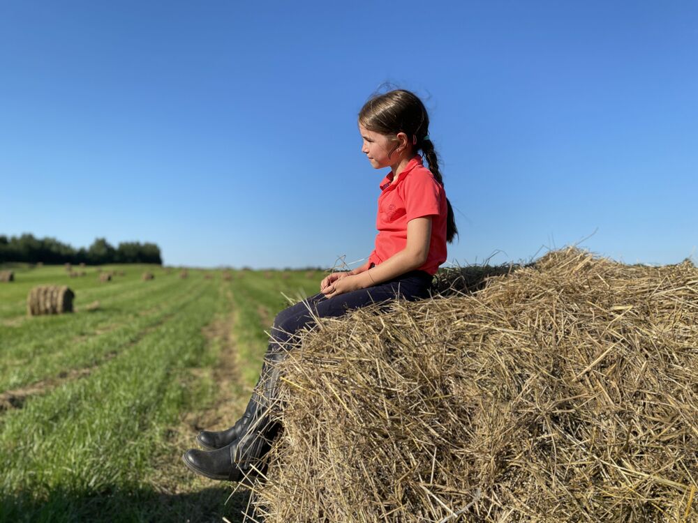 Farm routine (4)