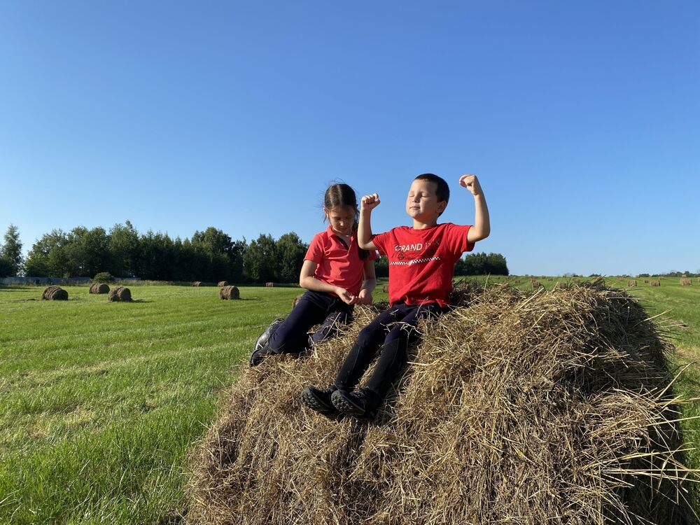 Farm routine (5)