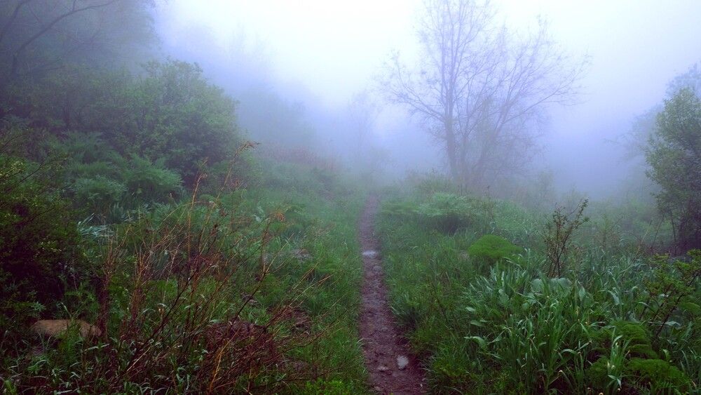 Reserve in the fog. Kazakhstan (2)
