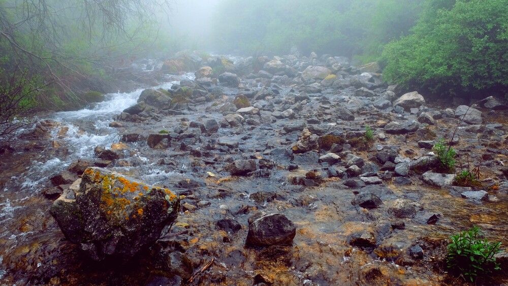 Reserve in the fog. Kazakhstan (5)
