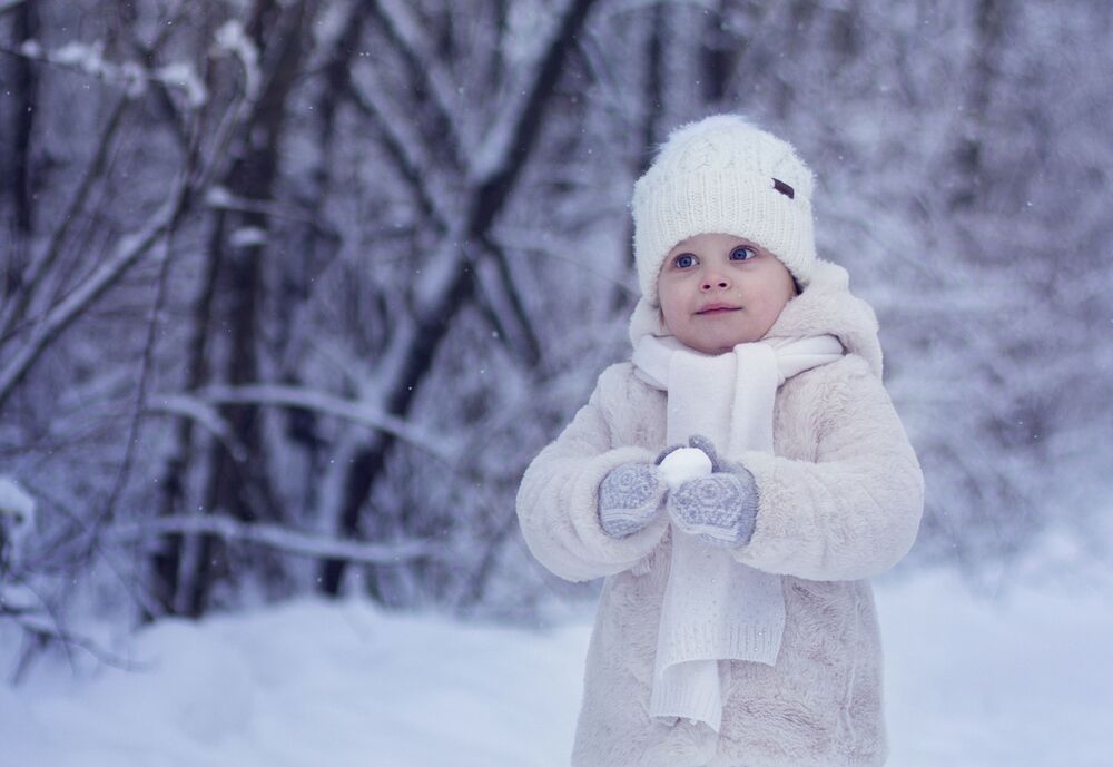 Photo #7265363 (4)