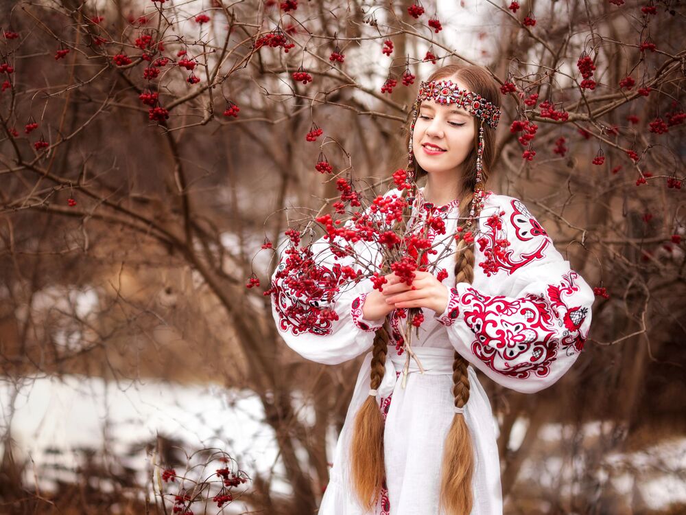 Photo #7274579 (5)